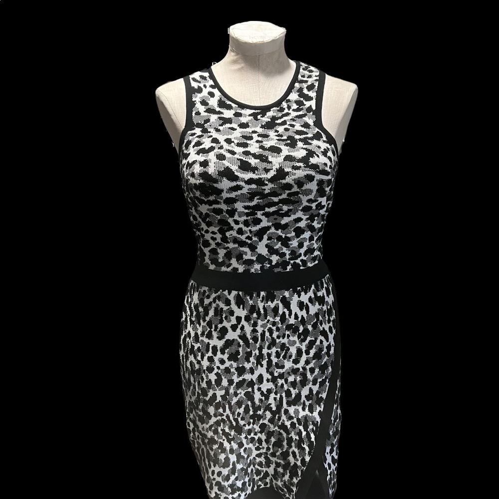 Le Lis Blanc Dress